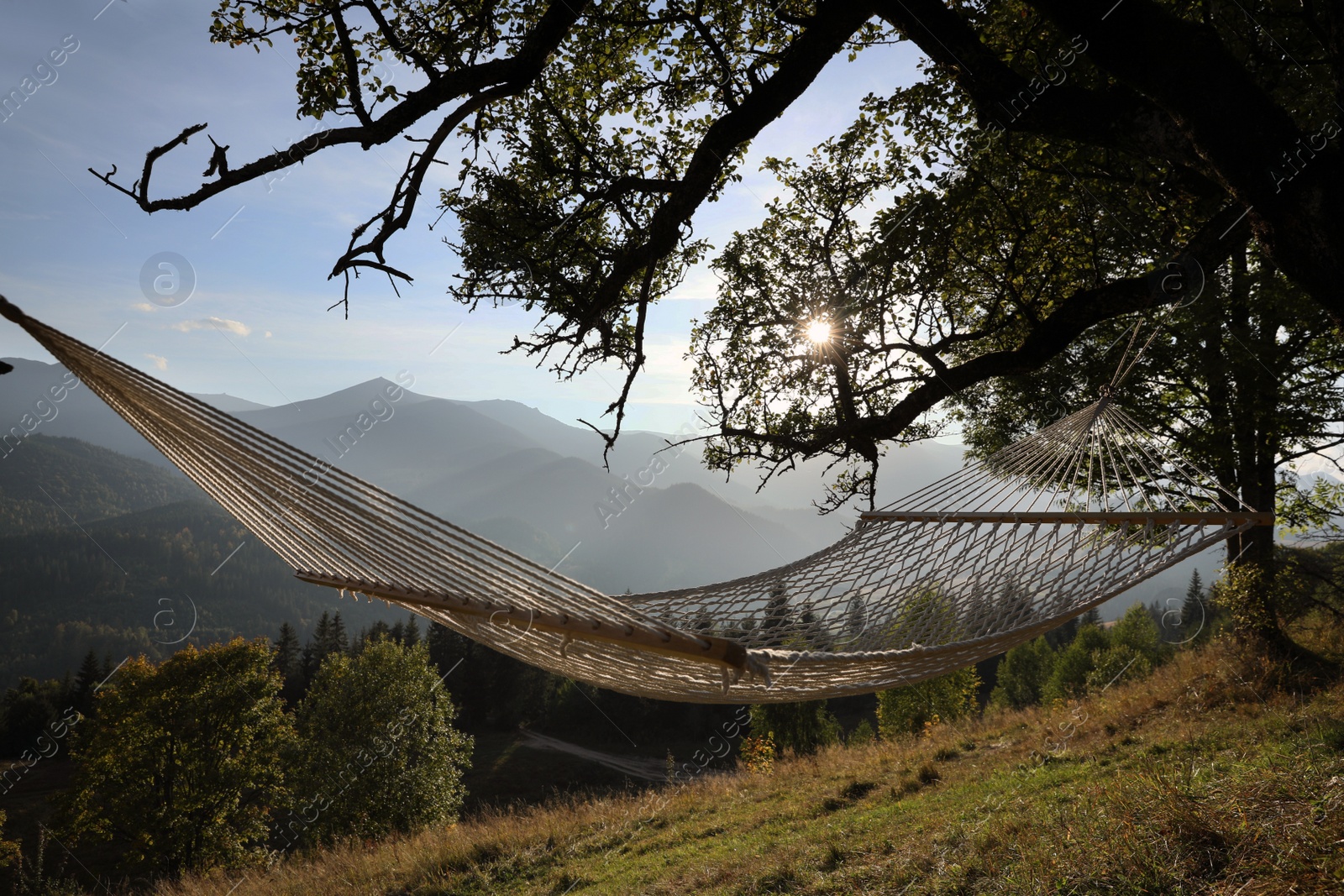 Photo of Comfortable net hammock in mountains on sunny day