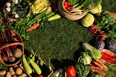 Photo of Frame of different fresh ripe vegetables on green grass, top view. Space for text