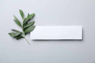 Flat lay composition of twig with fresh green olive leaves and blank card for text on light background