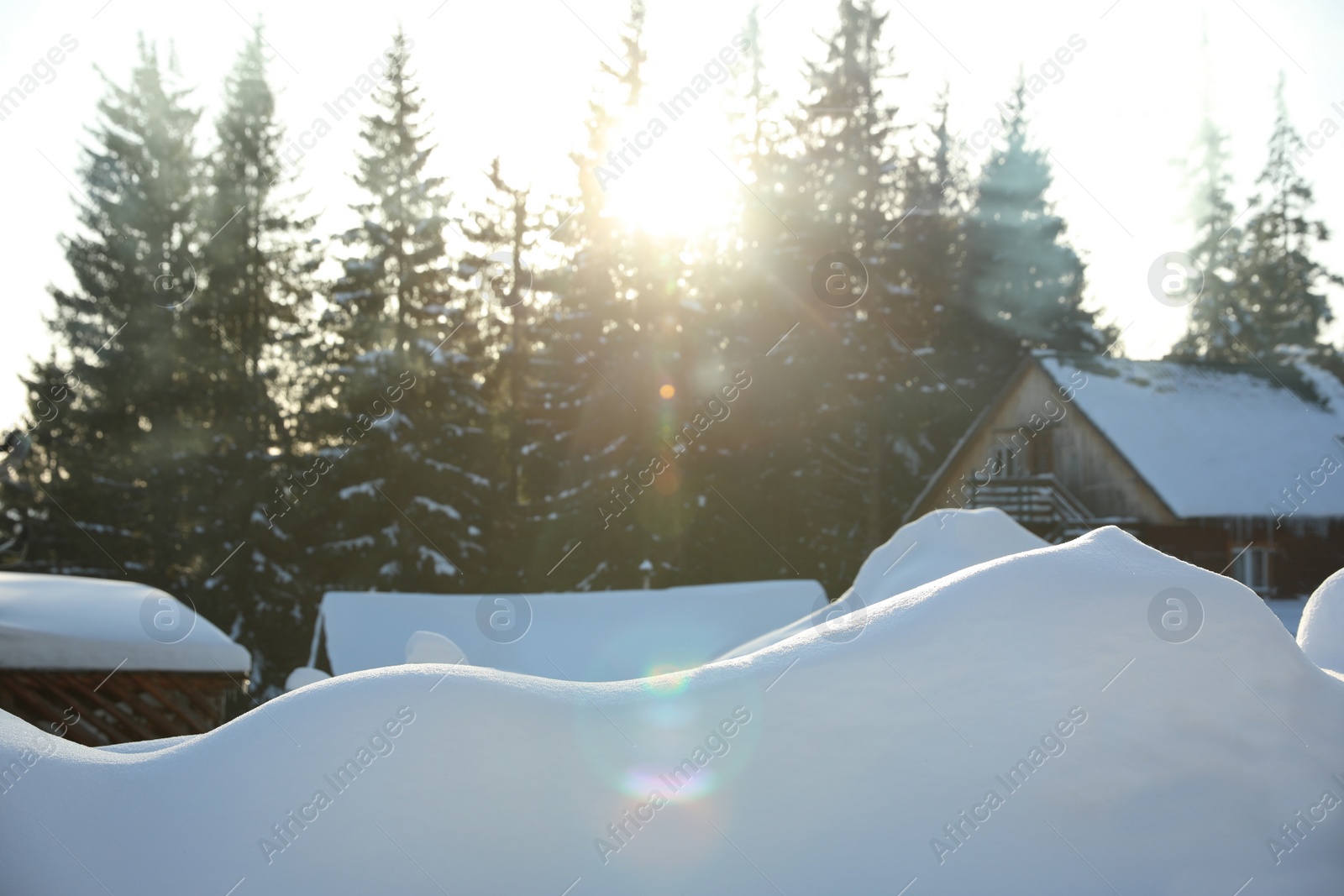 Photo of Wooden houses covered with snow near conifer forest