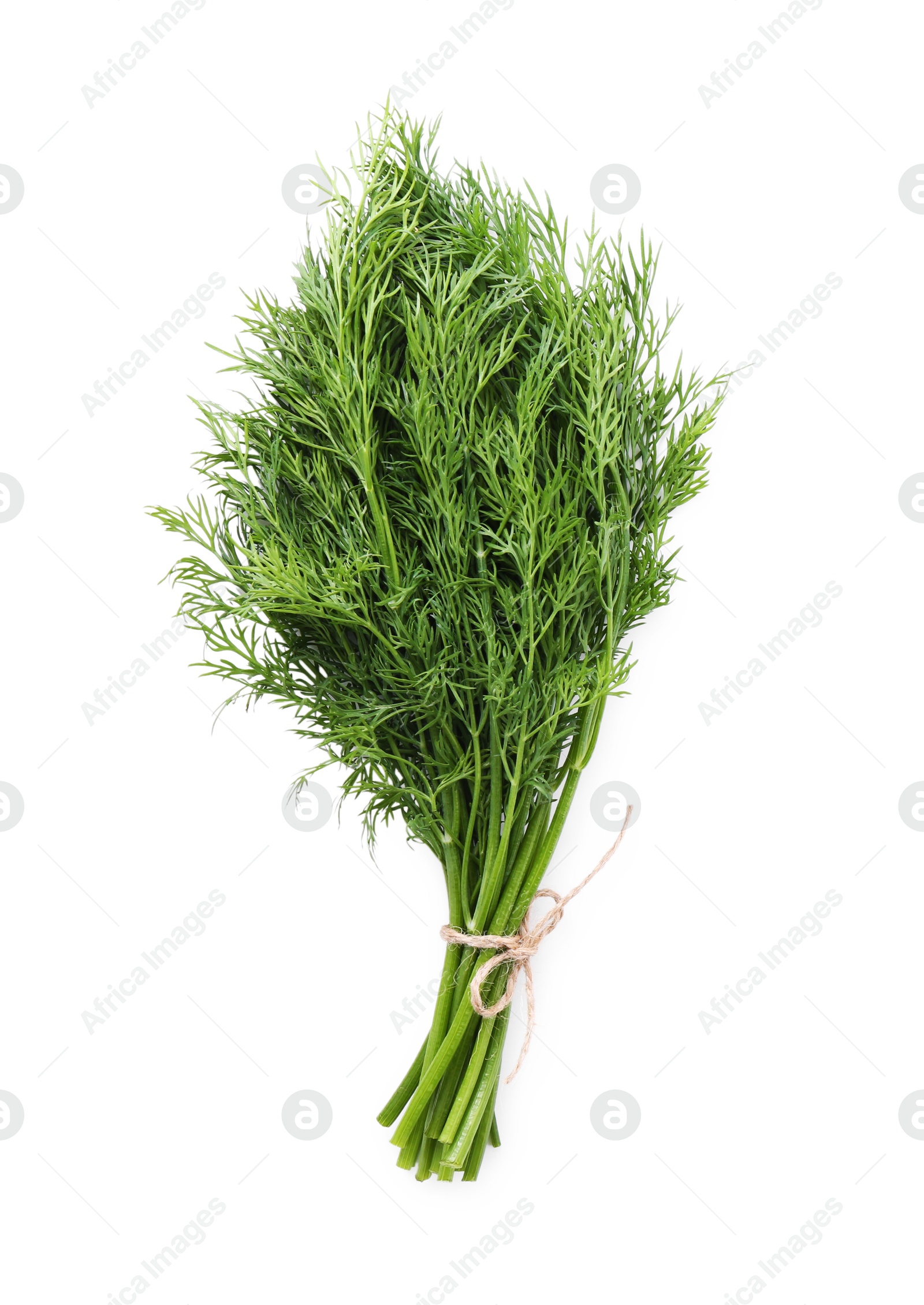 Photo of Bunch of fresh green dill isolated on white, top view