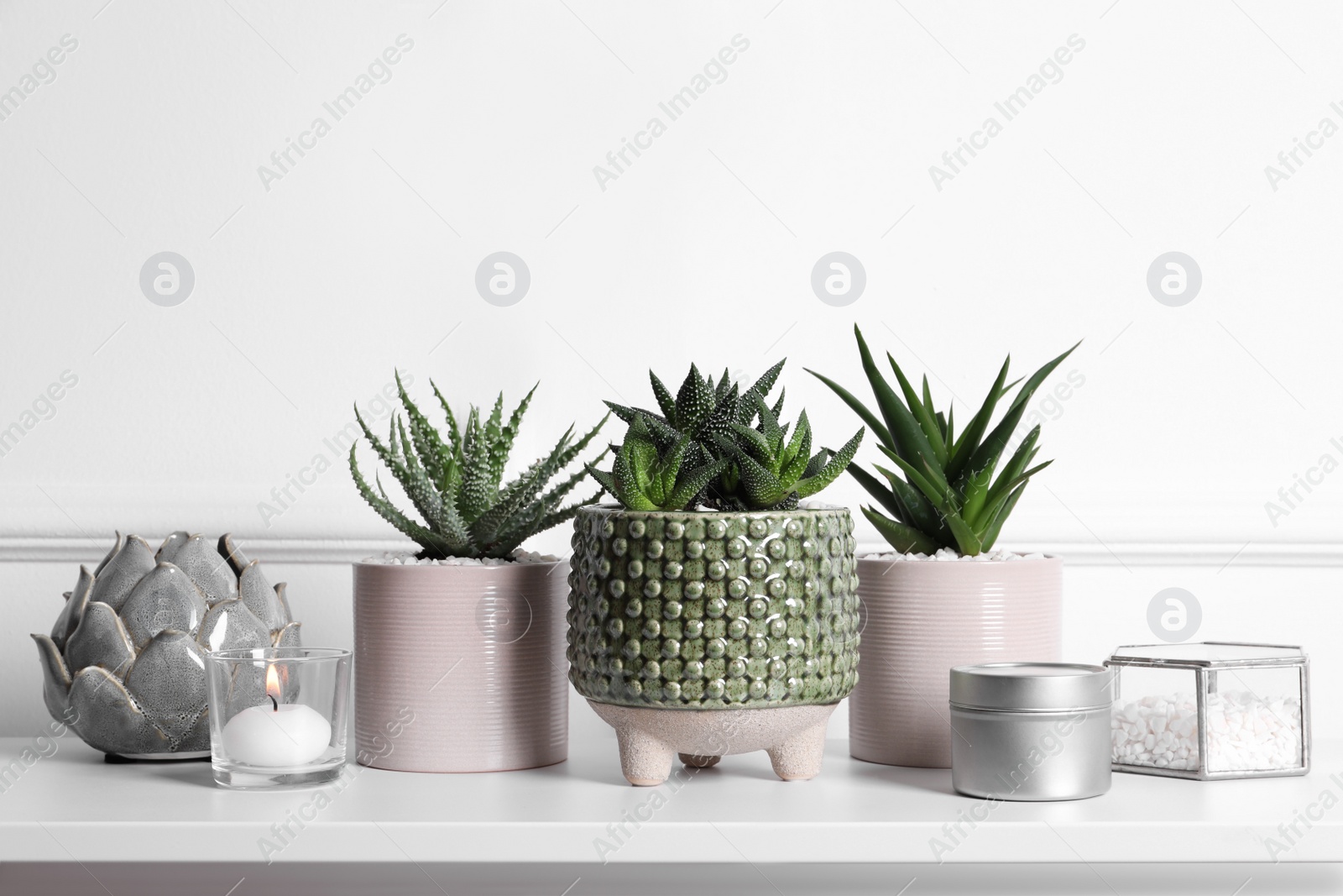 Photo of Beautiful Haworthia and Aloe in pots on white table. Different house plants