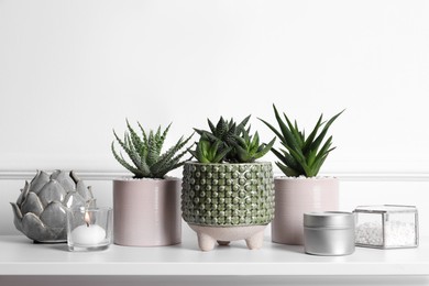 Beautiful Haworthia and Aloe in pots on white table. Different house plants