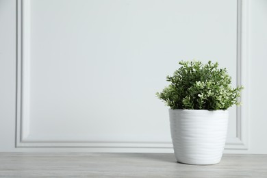 Photo of Aromatic green potted thyme on wooden table near white wall, space for text