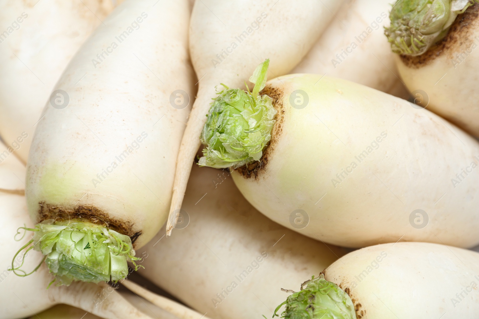 Photo of Pile of white turnips as background, closeup