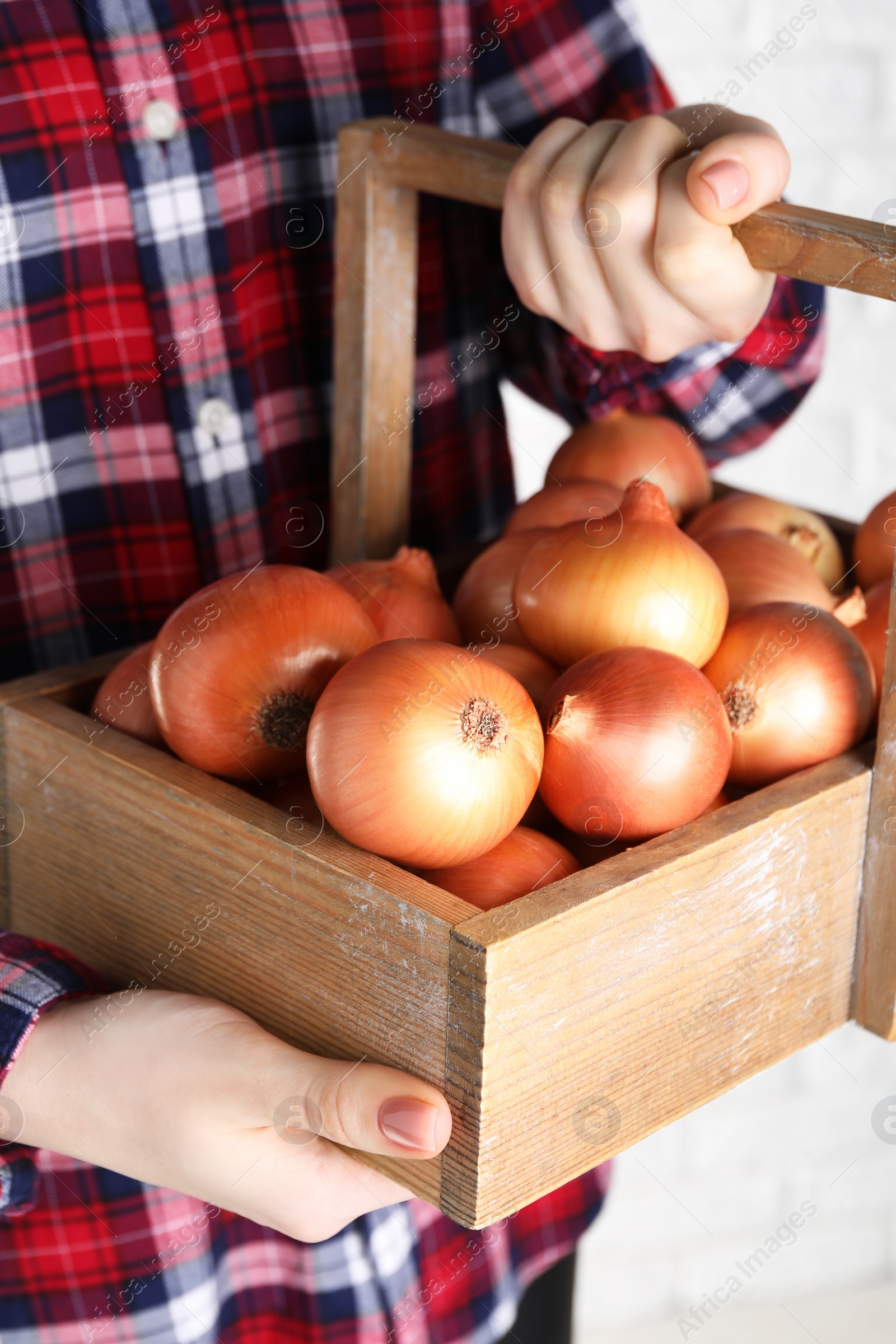 Photo of Woman holding wooden crate with ripe onions against white brick wall, closeup