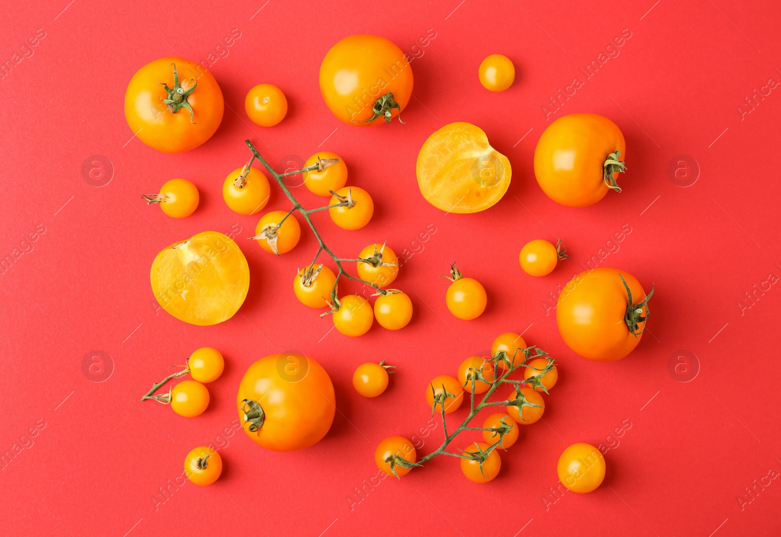 Photo of Flat lay composition with fresh ripe tomatoes on red background