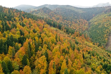 Aerial view of beautiful mountains and forest on autumn day