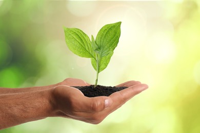 Image of Man holding small plant in soil on blurred background, closeup. Ecology protection