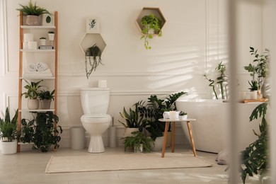 Photo of Stylish white bathroom interior with toilet bowl and green houseplants