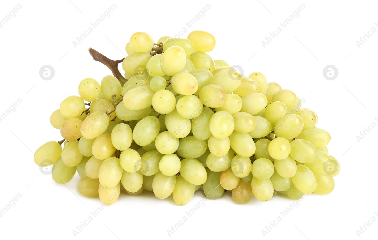 Photo of Bunch of fresh ripe juicy grapes isolated on white