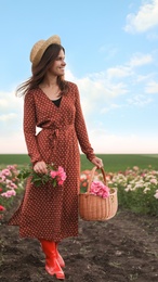 Photo of Woman with basket of roses in beautiful blooming field