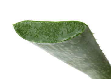 Photo of Green aloe vera leaf isolated on white