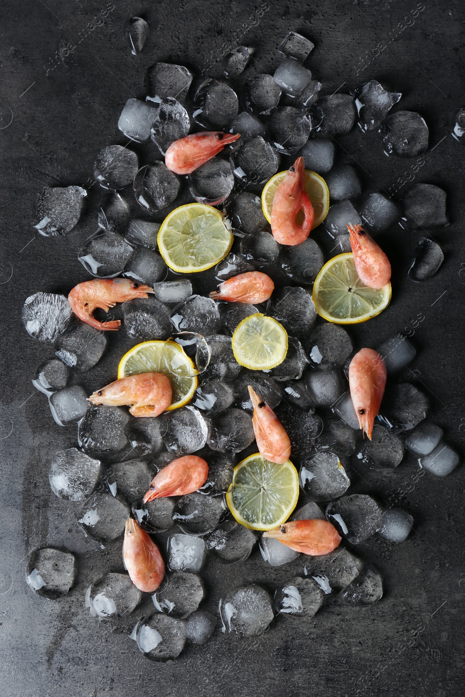 Photo of Flat lay composition with shrimps, lemon slices and ice cubes on dark background