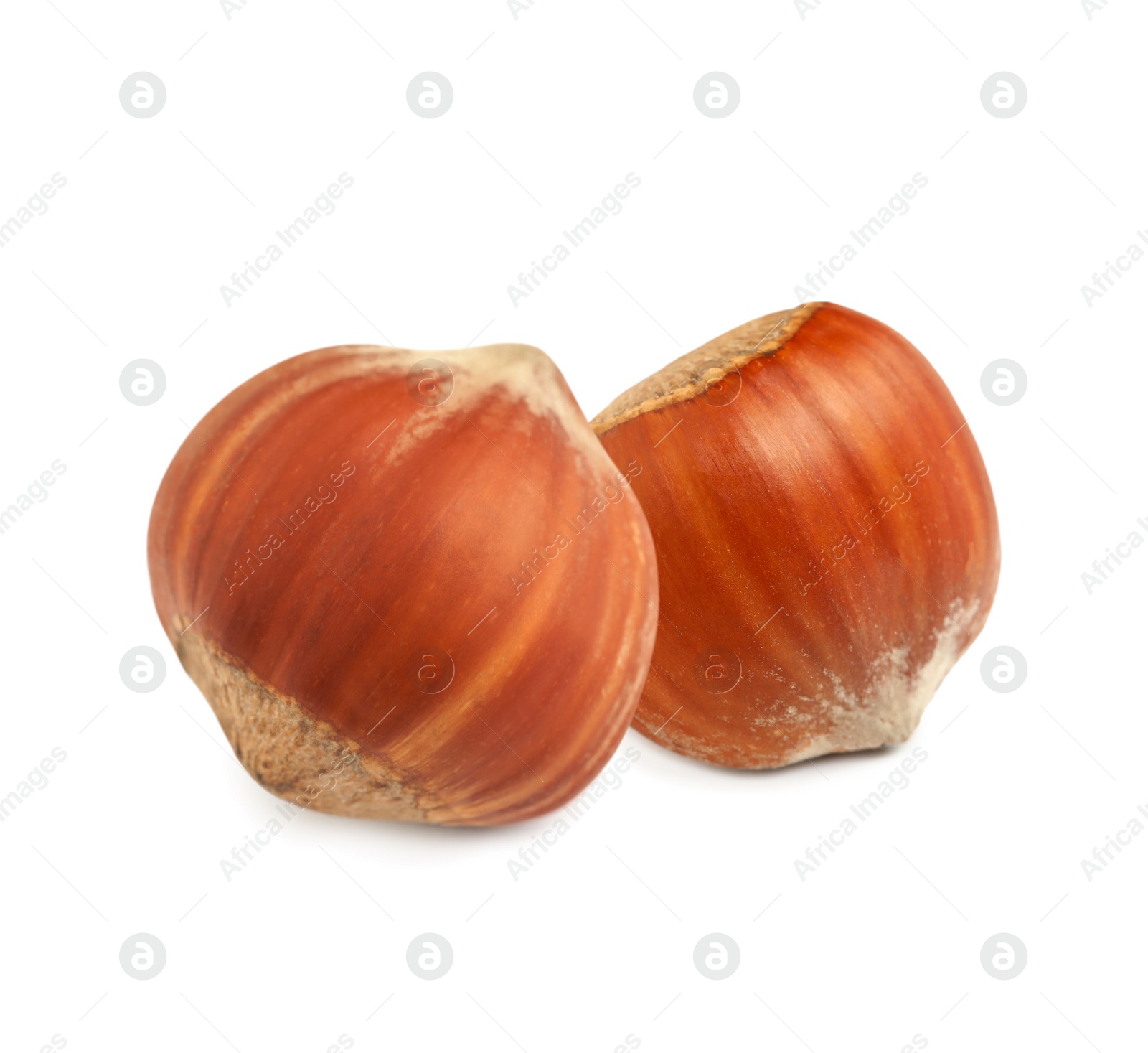 Image of Tasty organic hazelnuts on white background. Healthy snack