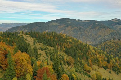 Photo of Aerial view of beautiful mountain forest on autumn day