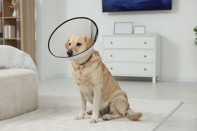 Cute Labrador Retriever with protective cone collar on floor in room