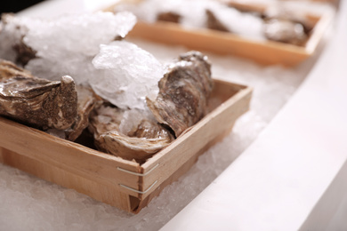 Photo of Fresh oysters with ice on display, closeup. Wholesale market