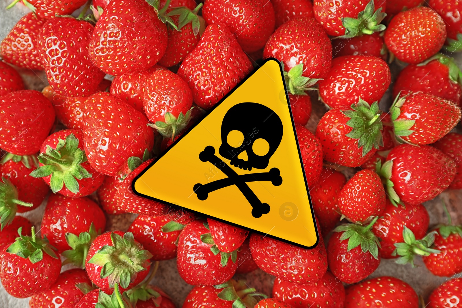 Image of Skull and crossbones sign on ripe strawberries, top view. Be careful - toxic