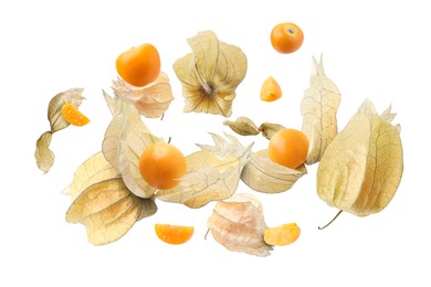 Ripe orange physalis fruits with calyx falling on white background