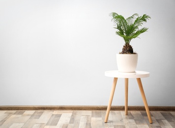 Flowerpot with tropical palm tree on table against light wall indoors