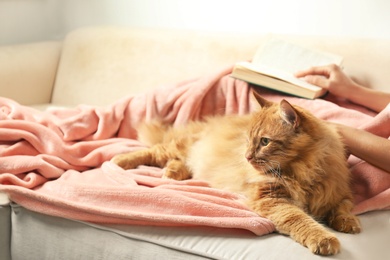 Woman with cute red cat and book on sofa at home, closeup view. Space for text