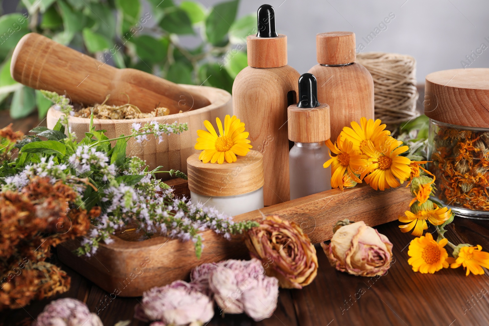 Photo of Jar, bottles of essential oils and different herbs on wooden table