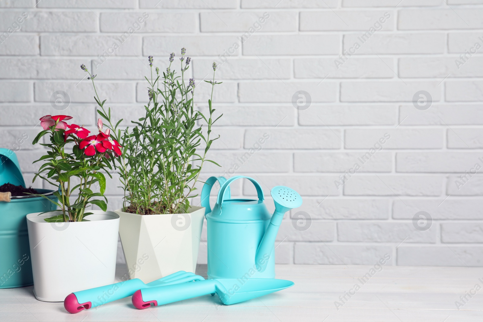 Photo of Beautiful flowers and gardening tools on wooden table near white brick wall, space for text