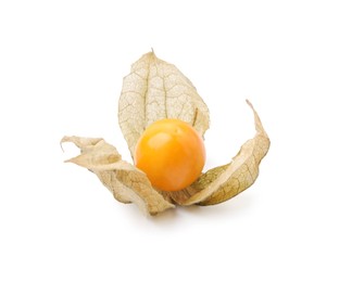 Photo of Ripe physalis fruit with calyx isolated on white