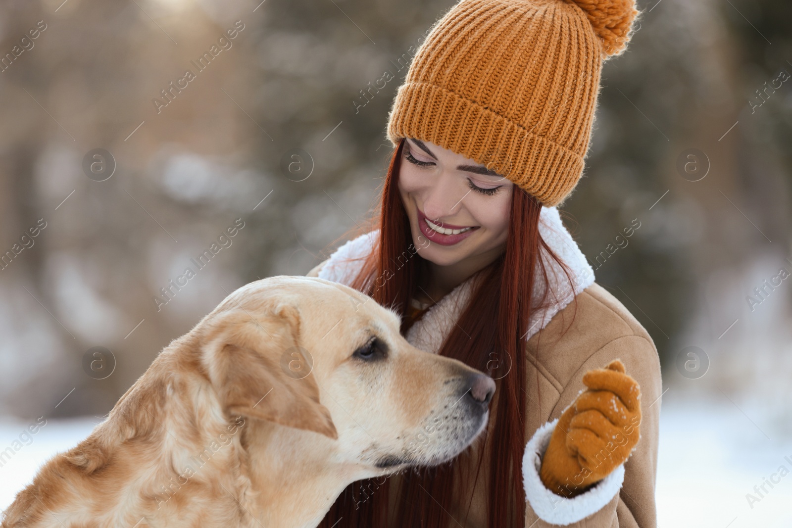 Photo of Beautiful young woman with adorable Labrador Retriever on winter day outdoors