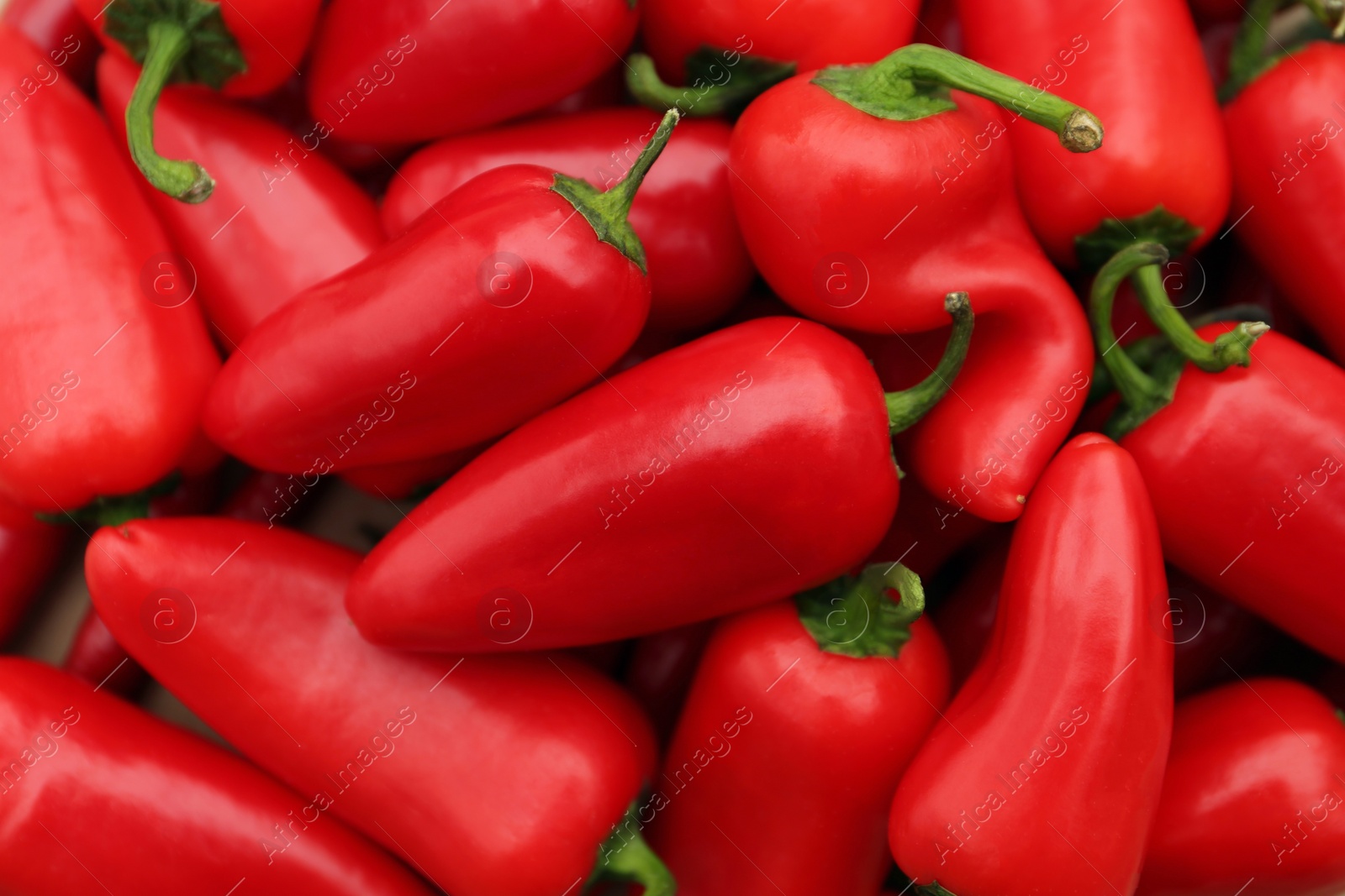 Photo of Red hot chili peppers as background, top view