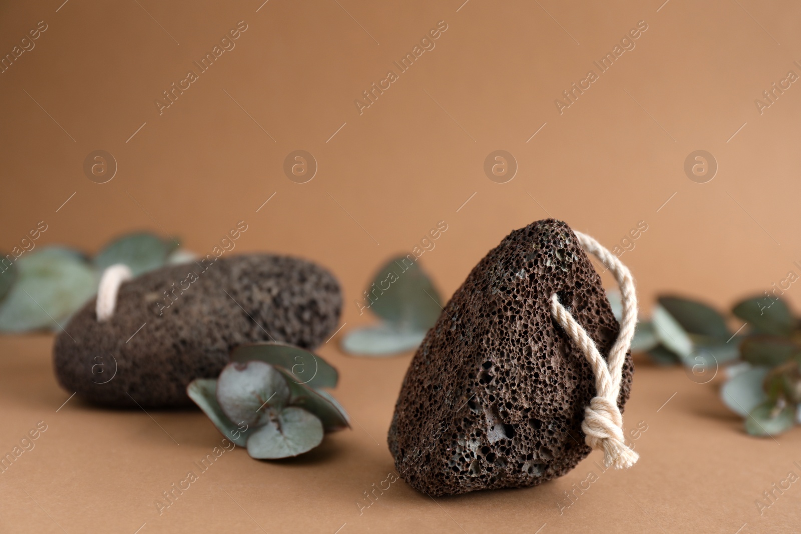 Photo of Pumice stones and eucalyptus on brown background