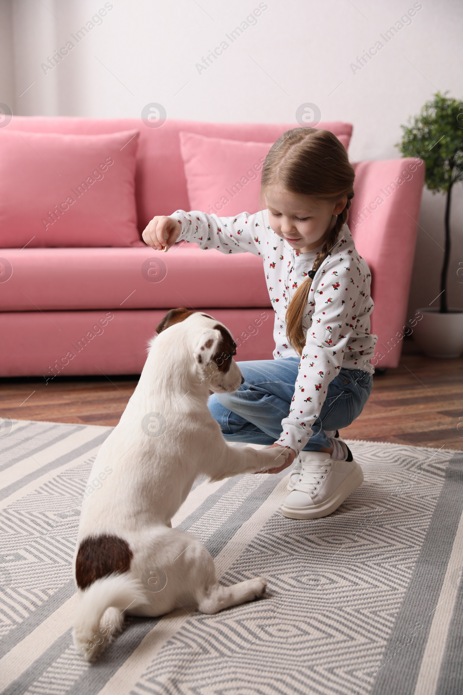 Photo of Cute little girl playing with her dog at home. Childhood pet