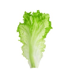 Photo of One green lettuce leaf isolated on white. Salad greens