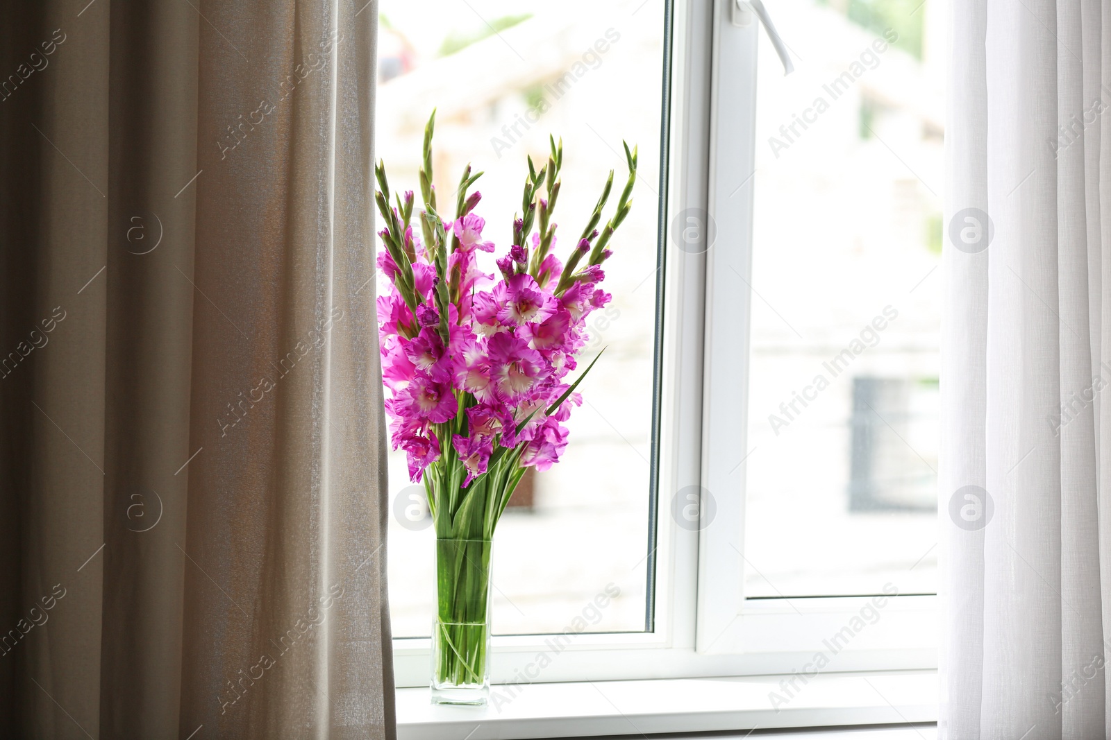 Photo of Vase with beautiful pink gladiolus flowers on windowsill, space for text