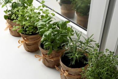 Different aromatic potted herbs on windowsill indoors