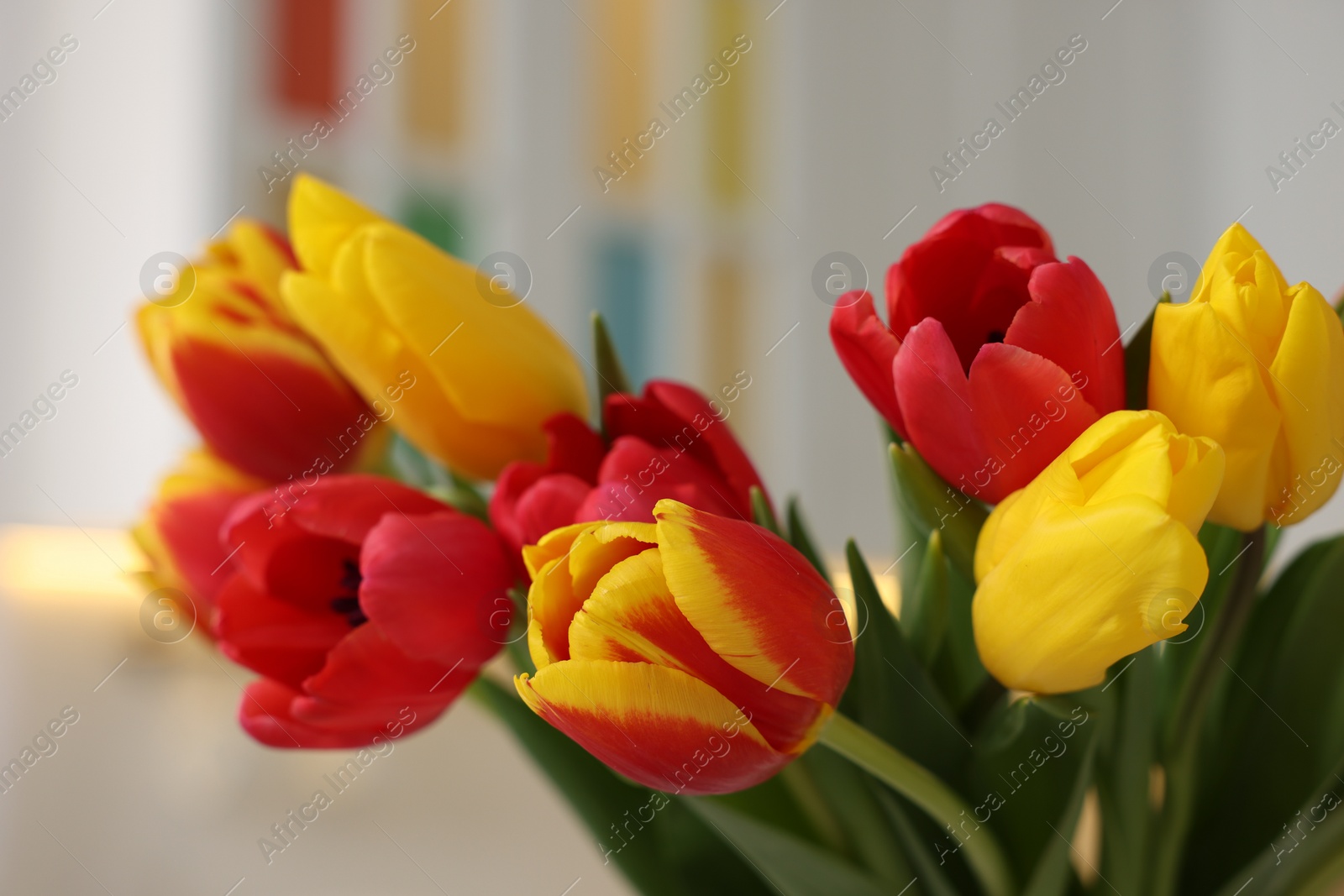 Photo of Easter celebration. Bouquet of beautiful tulips on blurred background, closeup