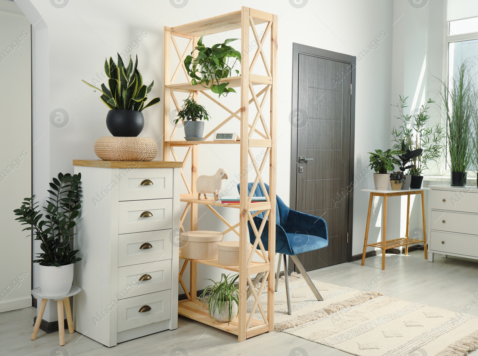 Photo of Stylish room interior with wooden furniture and beautiful green houseplants