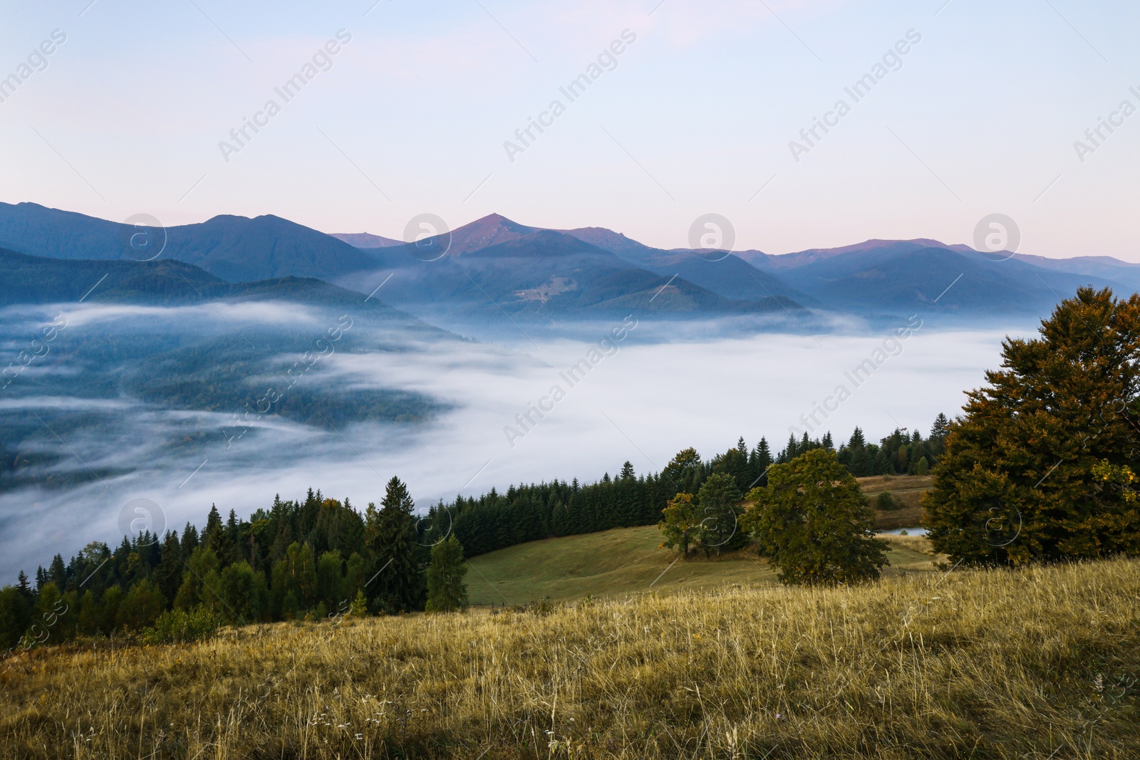 Photo of Amazing view of beautiful mountain landscape covered with fog