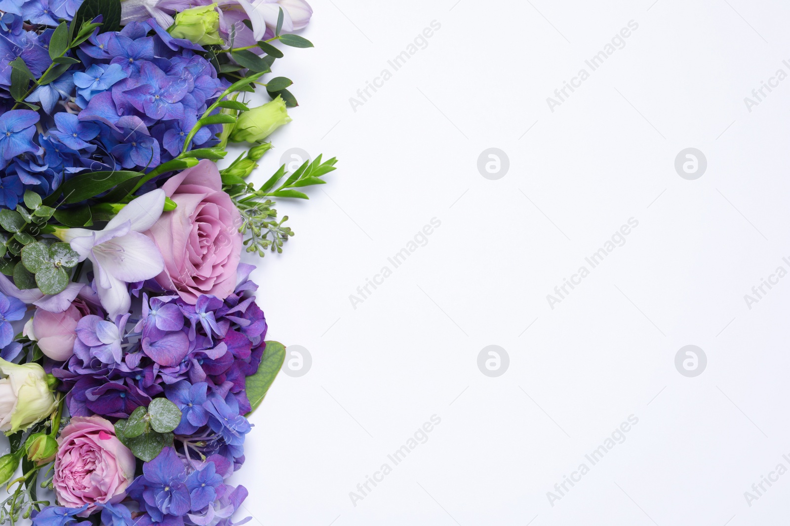 Photo of Beautiful composition with hortensia flowers on white background, flat lay. Space for text