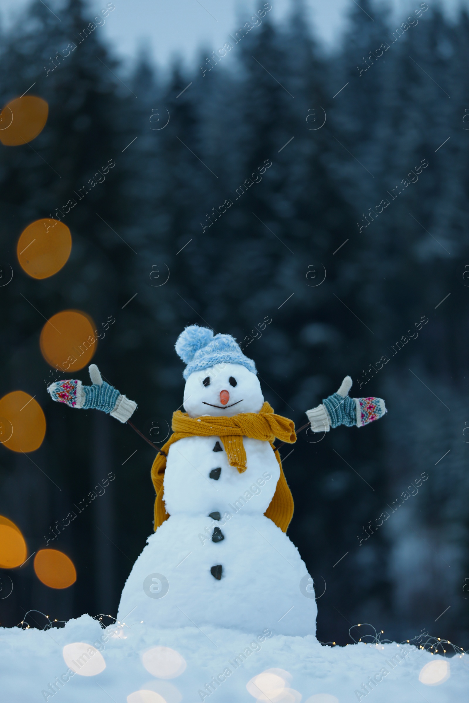 Photo of Adorable smiling snowman with Christmas lights outdoors on winter day