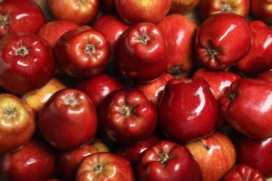 Photo of Fresh ripe red apples as background, top view