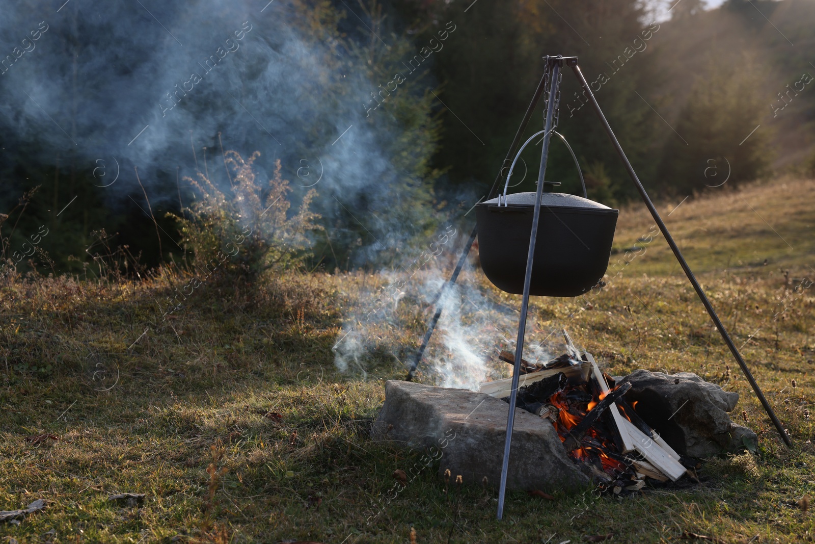 Photo of Cooking food on campfire near forest. Camping season