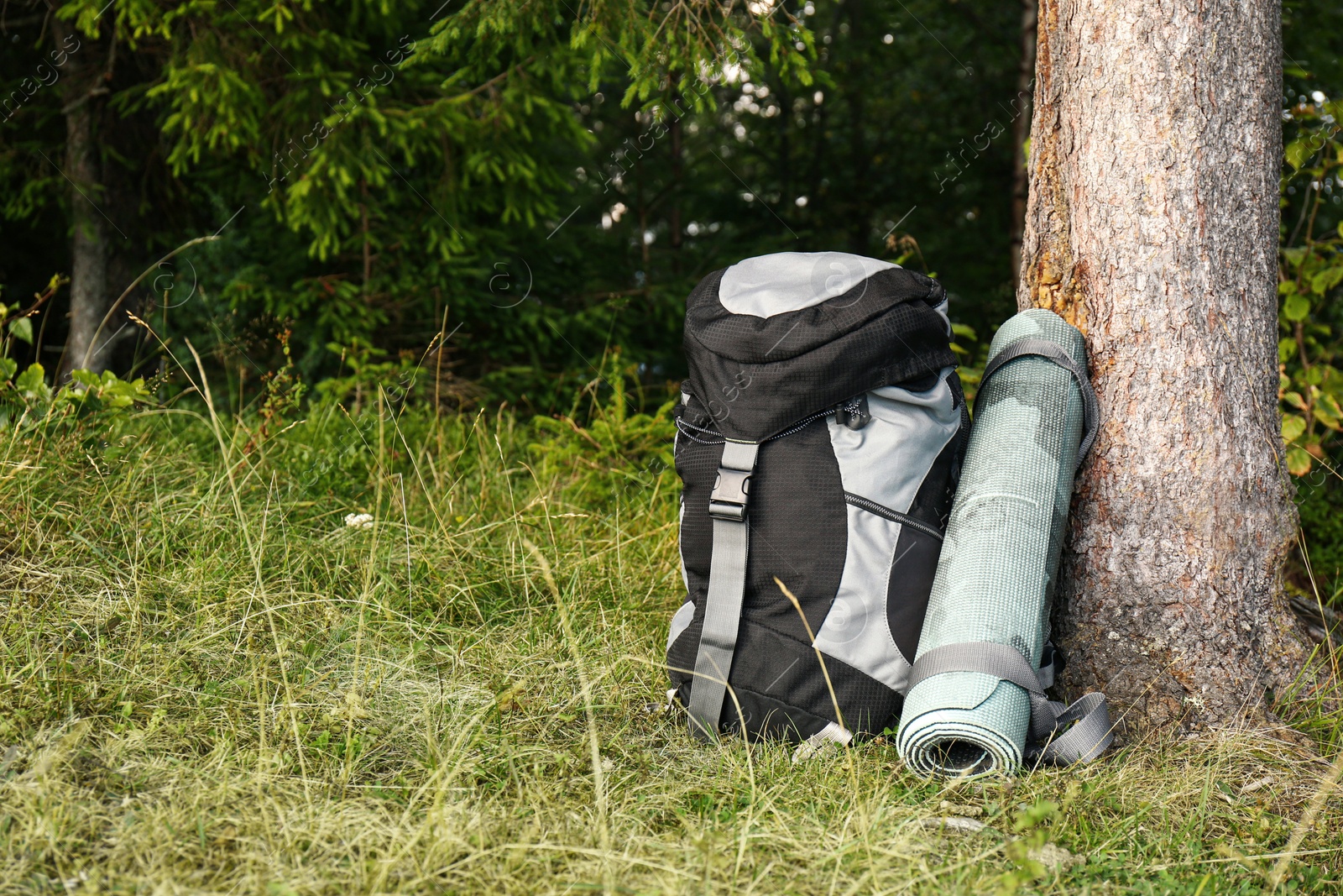 Photo of Backpack and sleeping mat in forest, space for text. Tourism equipment