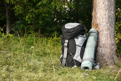 Photo of Backpack and sleeping mat in forest, space for text. Tourism equipment