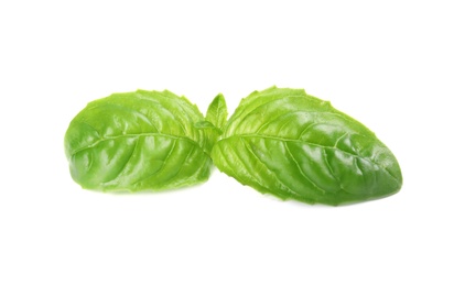 Photo of Fresh green basil leaves on white background