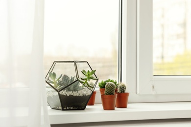 Different indoor plants on window sill at home