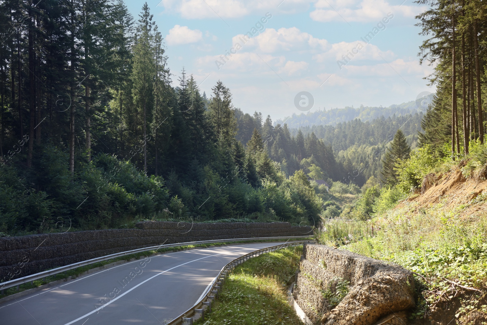 Photo of Picturesque view of empty asphalt road near forest