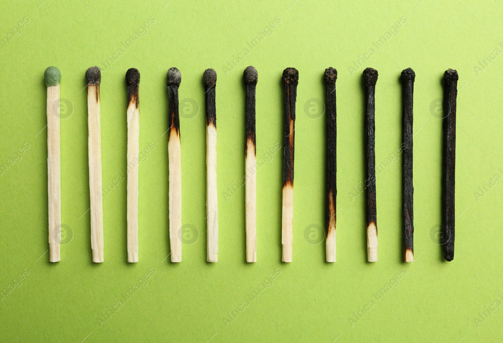 Photo of Row of burnt matches and whole one on color background, flat lay. Human life phases concept