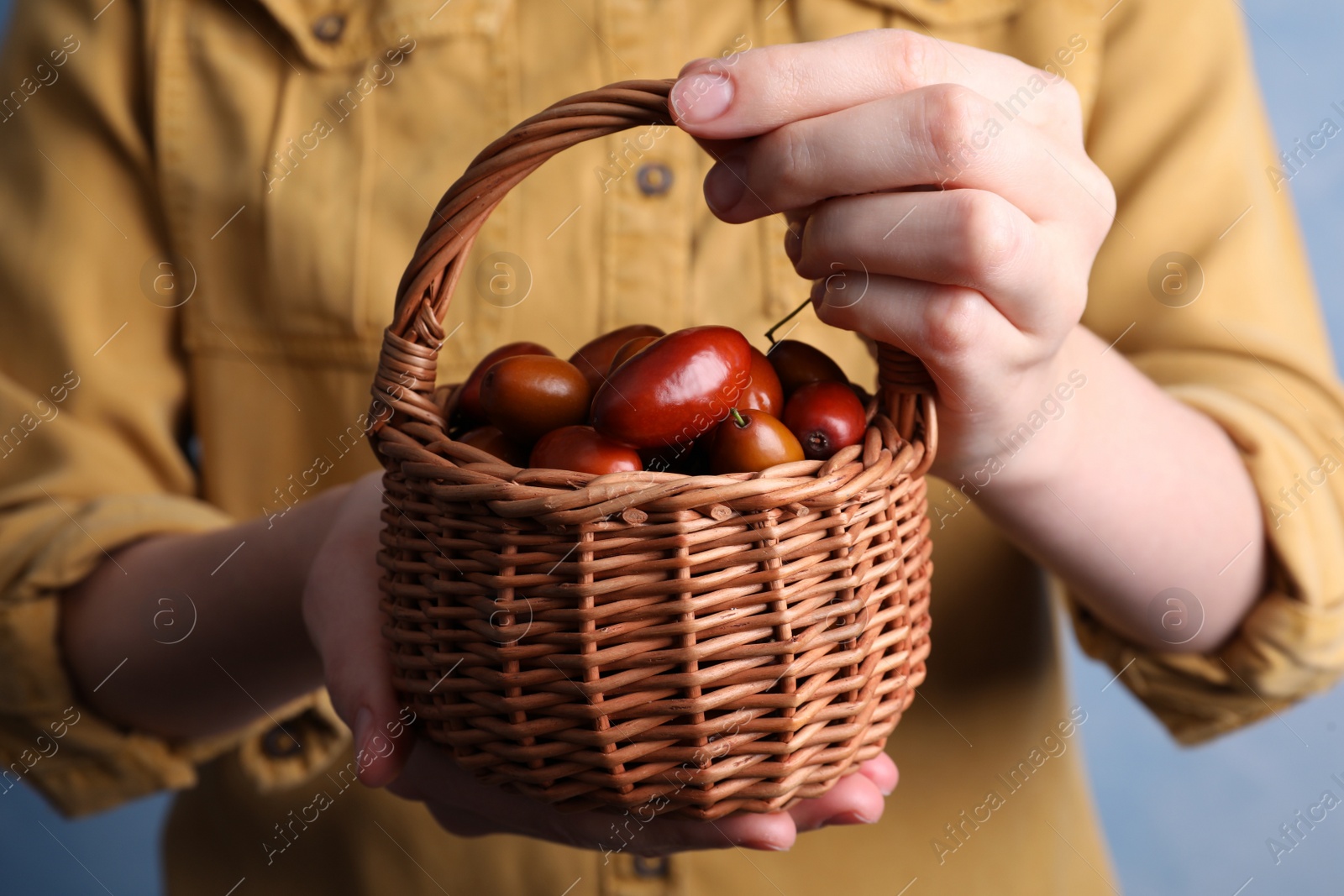 Photo of Woman holding wicker basket with fresh Ziziphus jujuba fruits on light background, closeup